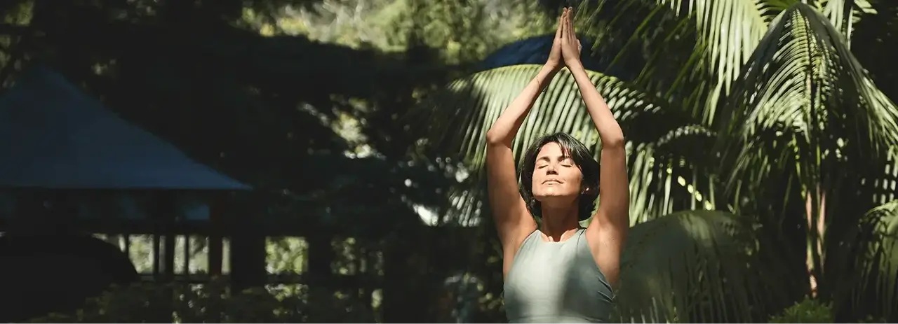 ZenFit wellness background