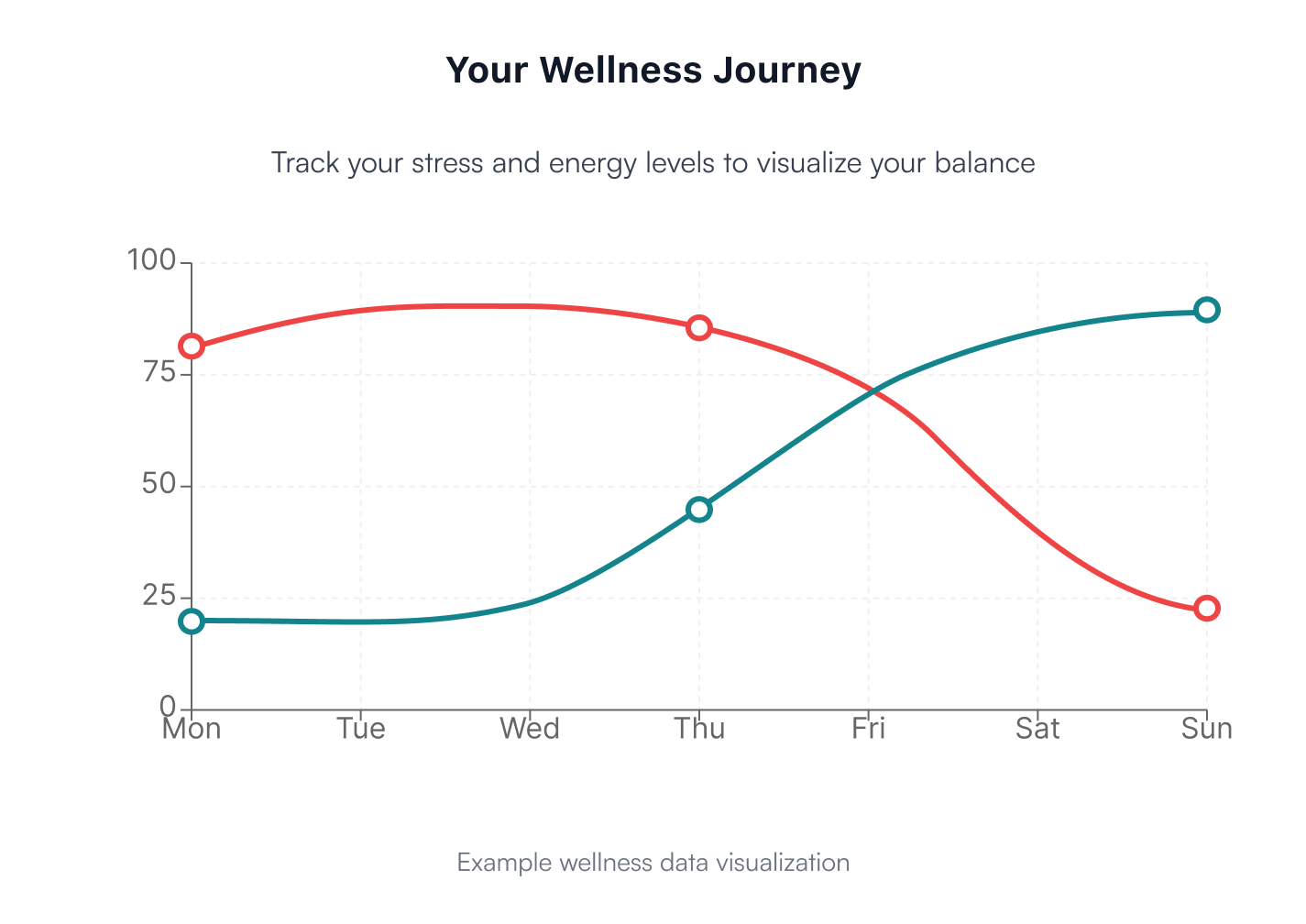 ZenFit wellness data visualization